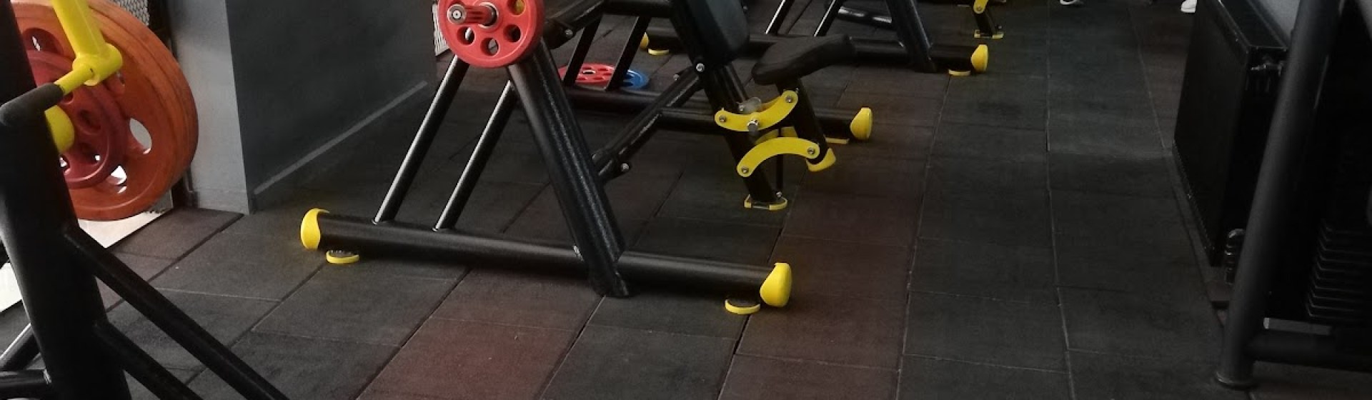 ENERJİ Performans Spor Hizmetleri Ltd.Şti.GYM
