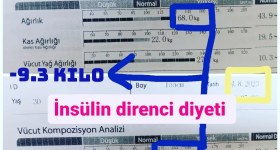 Sinan Yildiz Beslenme Ve Diyet Merkezi ( Van Diyet merkezi )