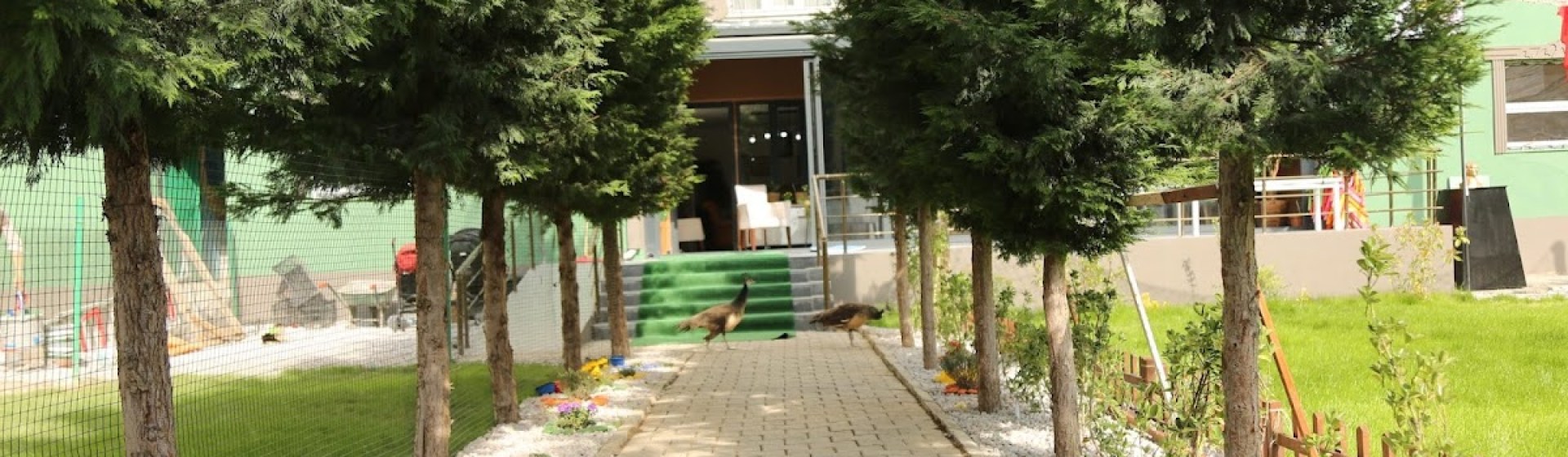 Van Montessori Anaokulu