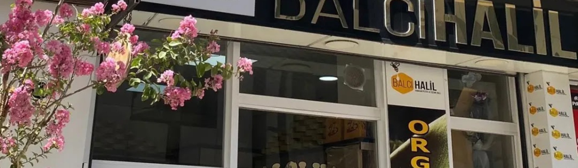 Balcı Halil