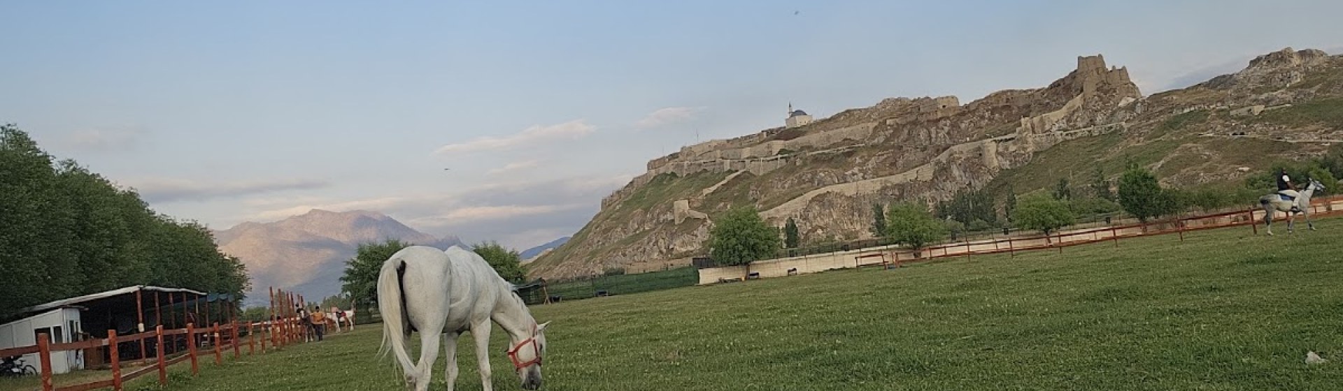 گردشگری اردینلر