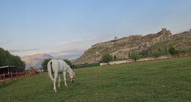گردشگری اردینلر