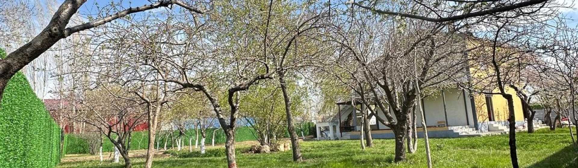 باغ عروسی و عکاسی اورارتو