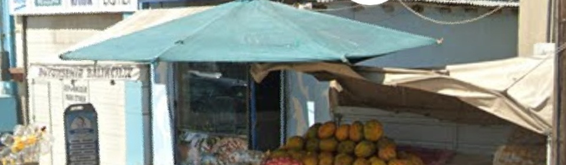 Büyükşehir balıkçılık