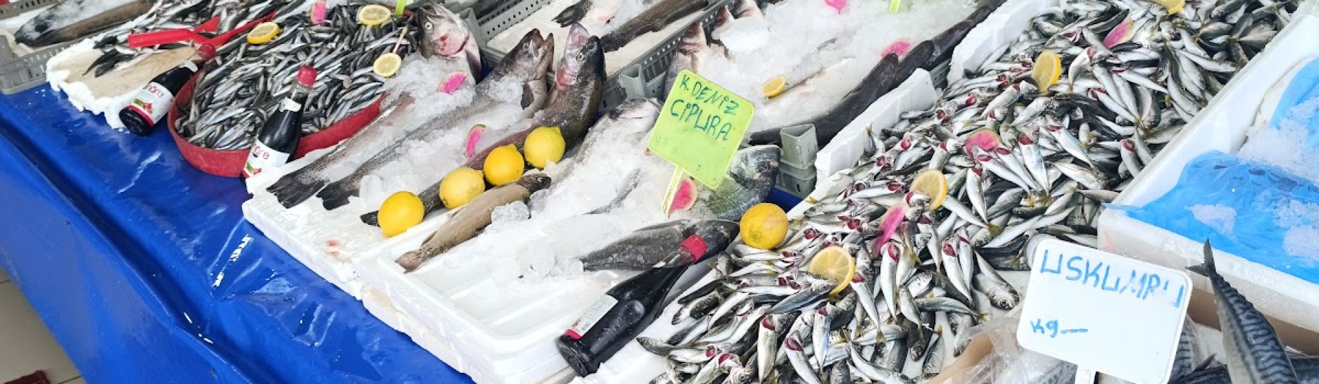 As Vangölü balıkçısı