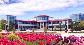 T.C. Van Yüzüncü Yıl Üniversitesi